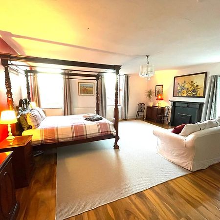 Spacious Garden Flat In Snowdonia National Park Brynkir 外观 照片